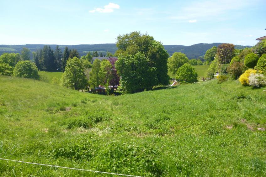 Luxus-Appartement in Kappel - foto 7