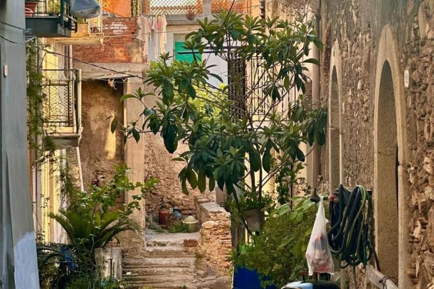 'The Garden - foto 38