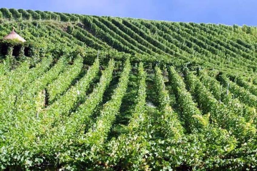 Les Chalets des Ayes - foto 39