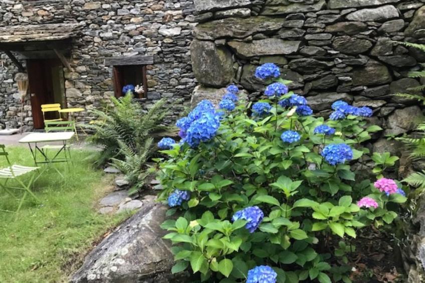 weg von der Zuvielisation - foto 12