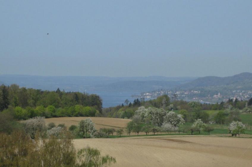 85461 - foto 3