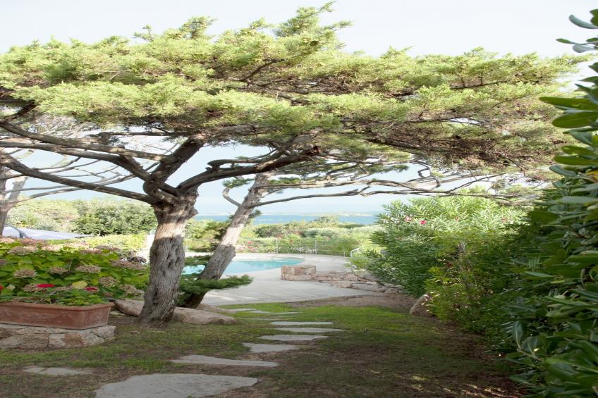 Villa Pitrizzina - foto 23