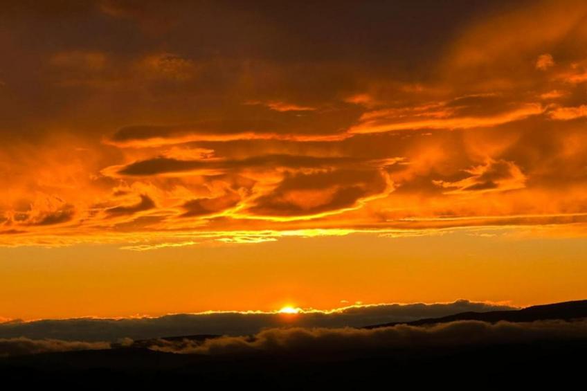 la petite Colline - foto 30