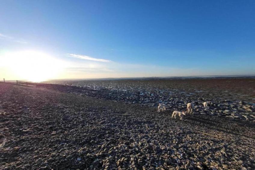 Docklodge 16 - foto 12