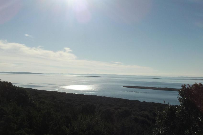 Apartment mit Meerblick - foto 5