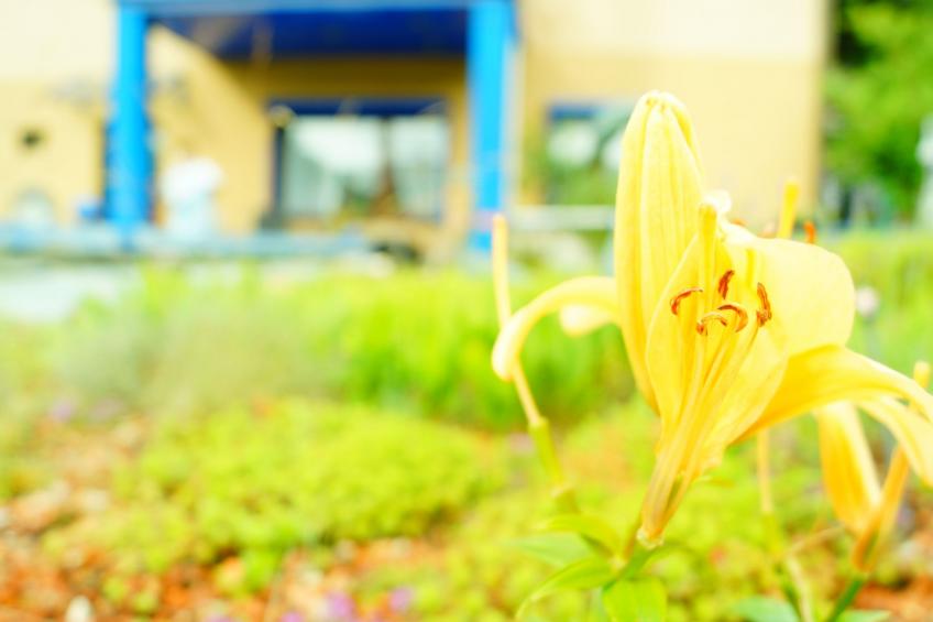 Monterosa in Baden-Baden - foto 20