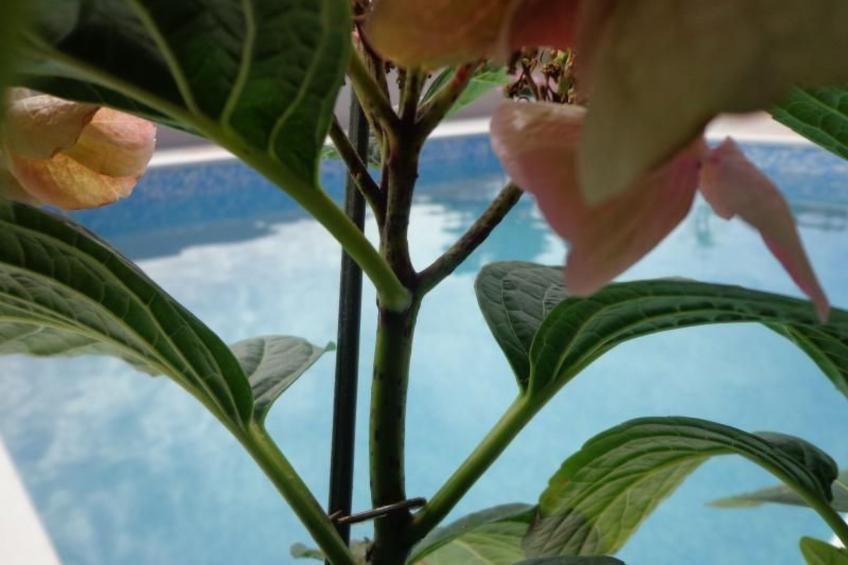 mit Panoramablick in ruhiger Lage - foto 5