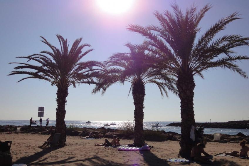 Noelie rez de jardin - foto 17