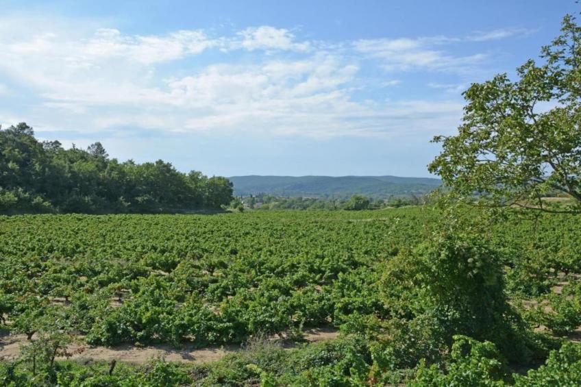 Maison de vacances - SAINT-BRÈS - foto 38