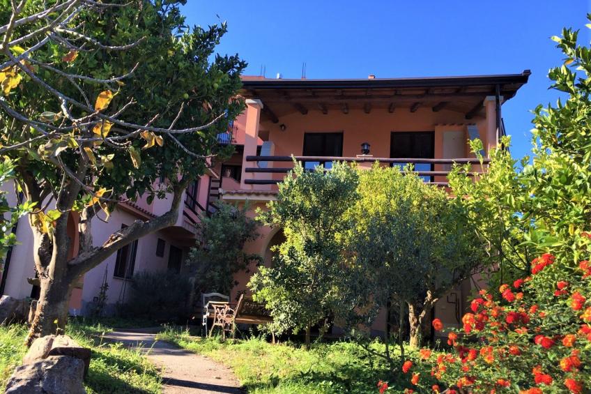 Flache Zeder - foto 5