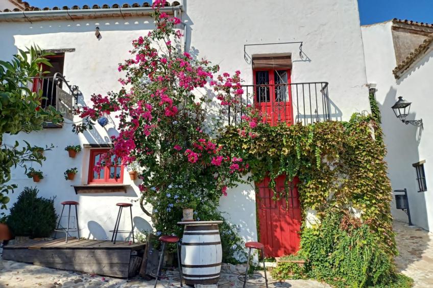 Wohnung "Castillo Castellar - foto 18