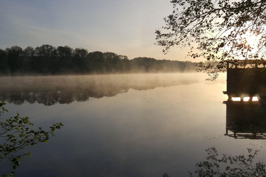 Bungalow Waldidyll - foto 2