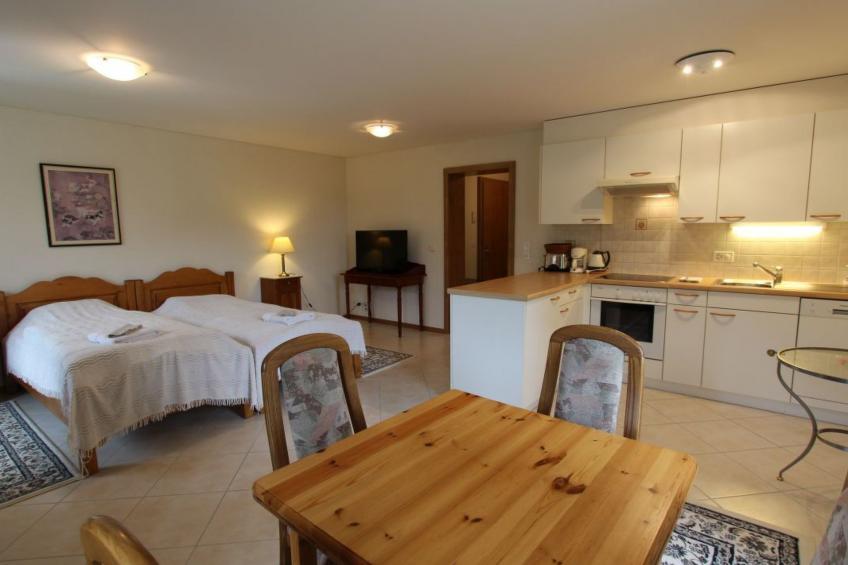Studio Rosat 3, (Château-d'Oex), - foto 2