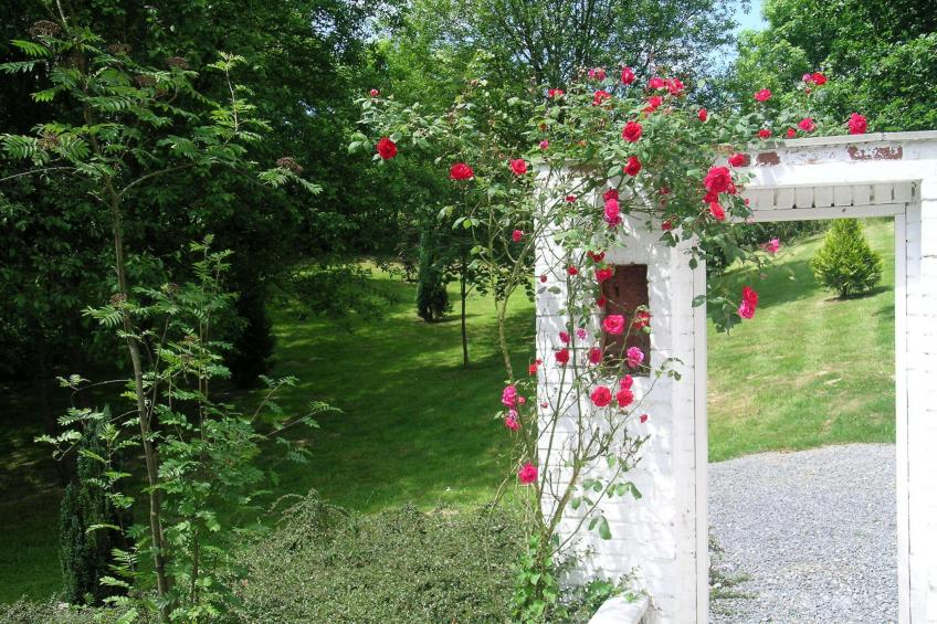 Trou de Reinard- Domaine Ecureuil - foto 34