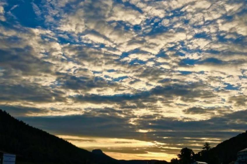 Fewo Natur und Kunst - foto 32