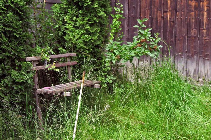 Casa Lopo - traditioneller, gemütlicher Bauernhof - foto 33