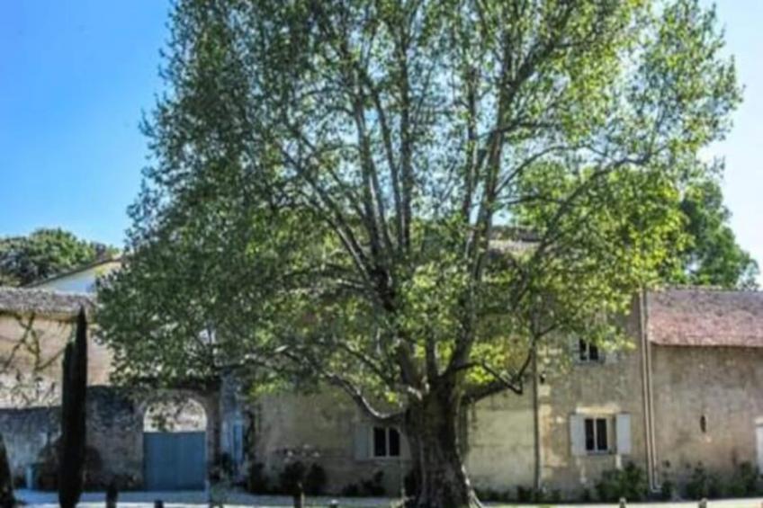 Superbe Mas Provencal Avec Piscine Chauffée - foto 24