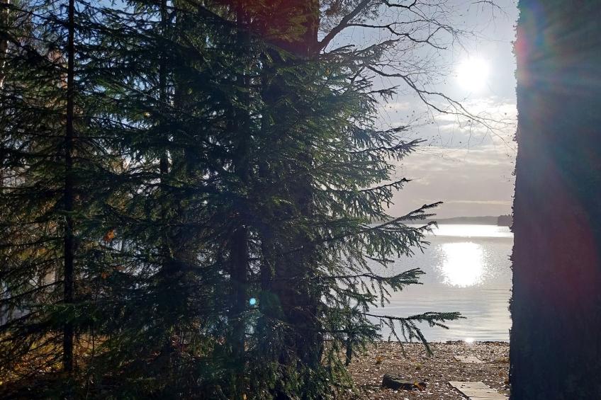 Kesäniitty - foto 32