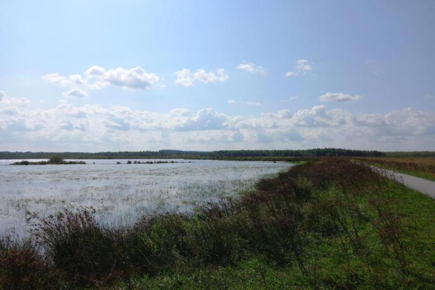Maison de vacances - CLOHARS-CARNOET - foto 24