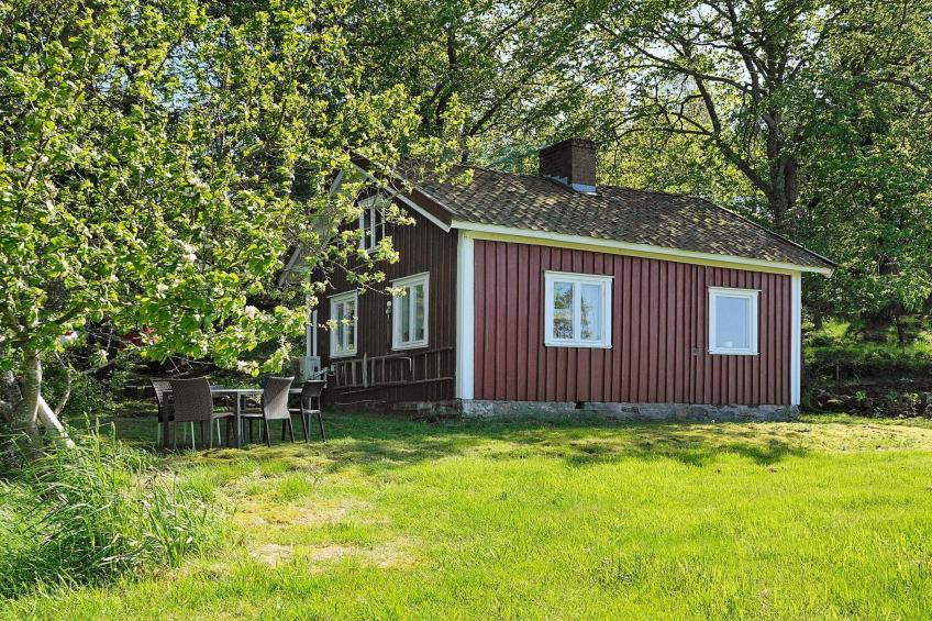53574 - foto 2