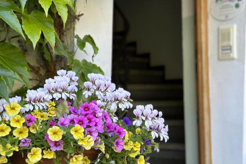 Im Zellertal - foto 28