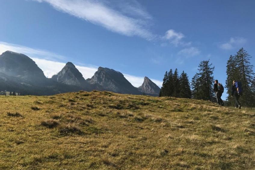 Altes Schulhaus - foto 27