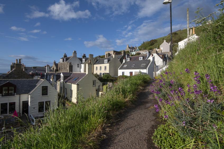 Ellie-Jo Cottage - foto 13