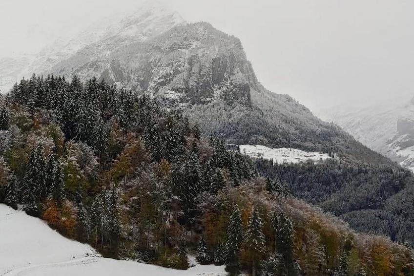 Wohnung Mit 2 Schlafzimmern “Ürbach” - foto 13