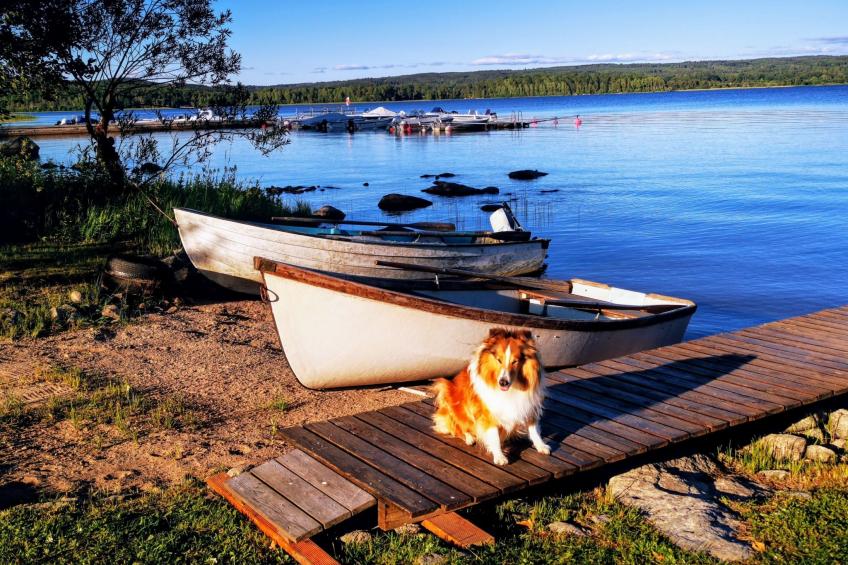 am See Åsunden mit herrlicher Aussicht - foto 35
