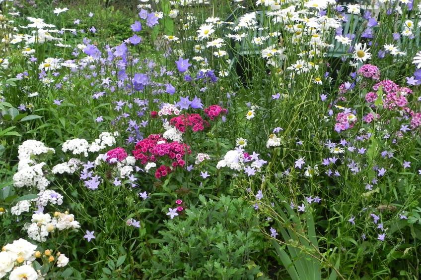 Himmelreichmühle in Sausal - foto 18