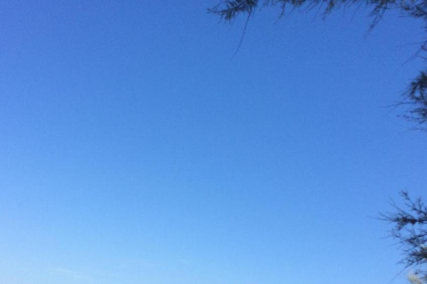 FeWo 2, mit 1. Schlafzimmer für 4. Personen mit Balkon im ersten Obergeschoss g - foto 20