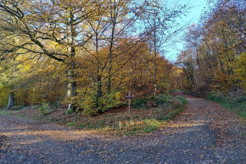 Eschbachtal - foto 40