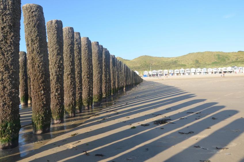 Groepsappartement- Dorpsplein 6 | Koudekerke "Pleinzicht" - foto 10