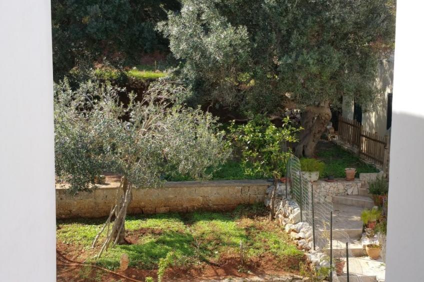 Wohnung mit Wasserblick - foto 12