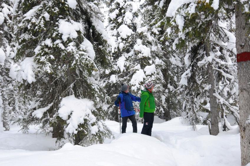 Charmantes modernes Blockhaus mit Kamin - foto 17