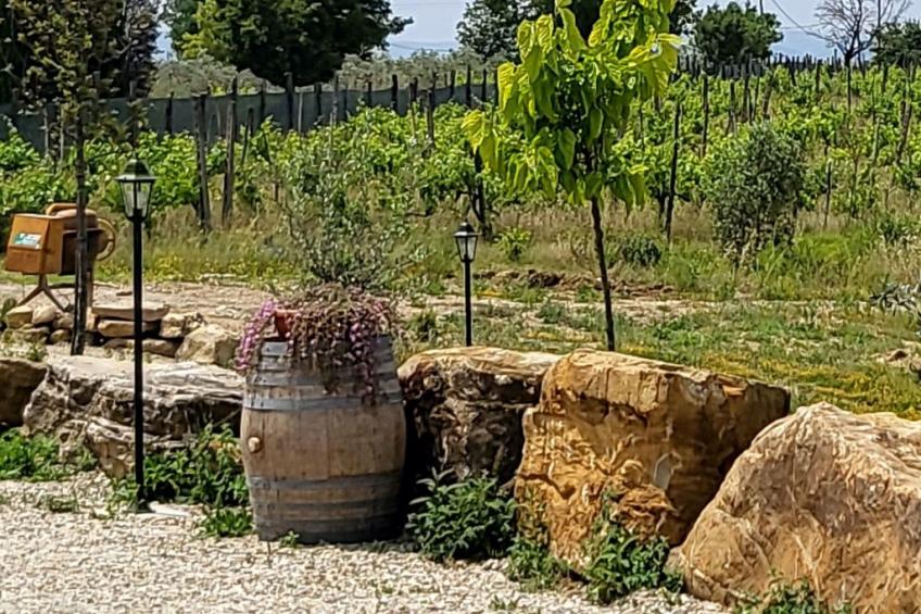 'Bungalow Juniper - foto 11