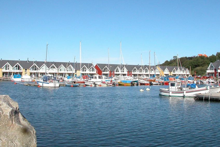 HASLE MARINA - foto 45