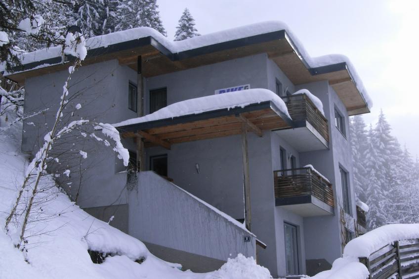 Hollaus 1 - foto 34