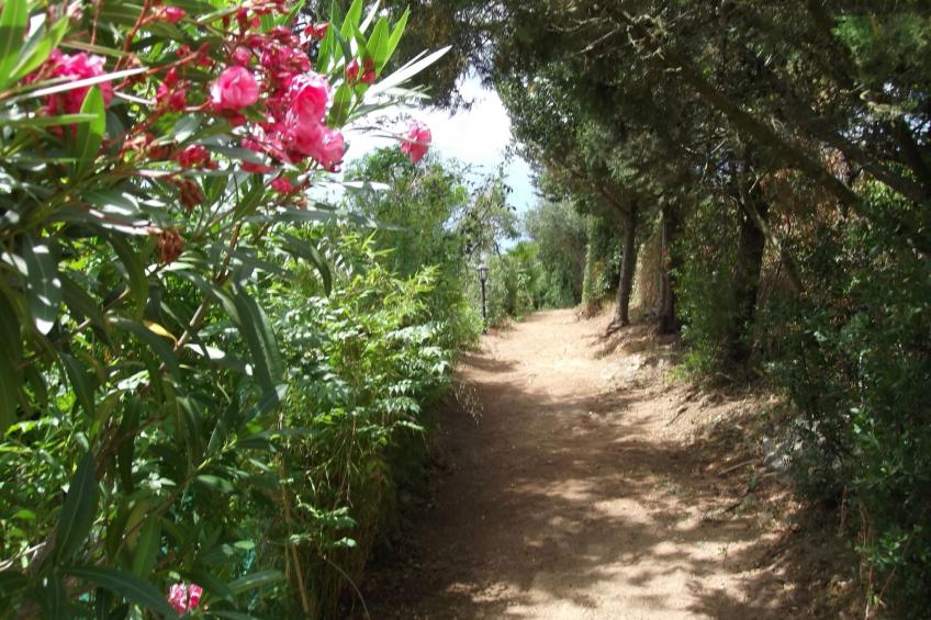 Casa Montecote Öko-Resort - La Casita - foto 6