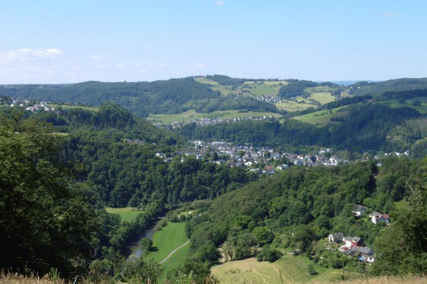 in Waldbreitbach mit Whirlpool - foto 23