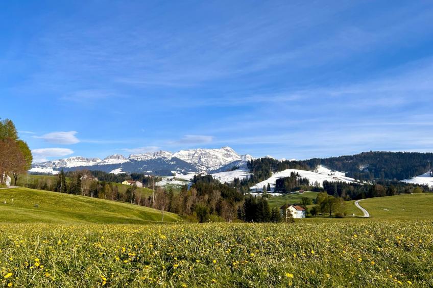 Sonnige Maisonette - foto 22