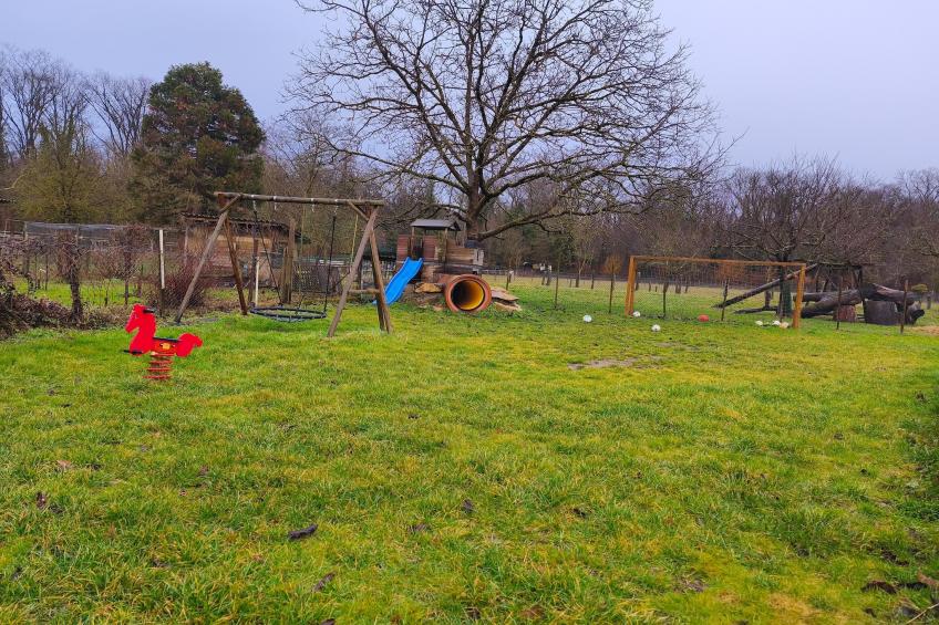 Im Rheintal - foto 31