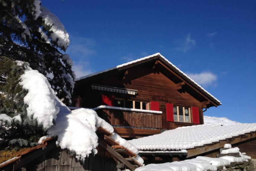 Tgea Sulagliva, (Andeer), - foto 6