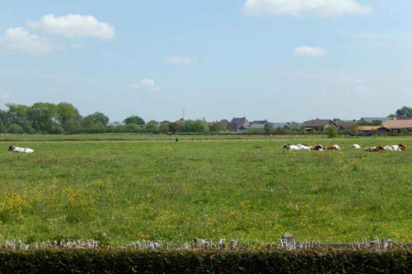 't Granzeke - foto 23