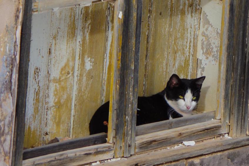Casa Margarida Azul - foto 32