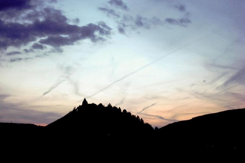 Perle-Lollipop - foto 23