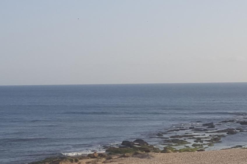 Beachhouse - foto 16