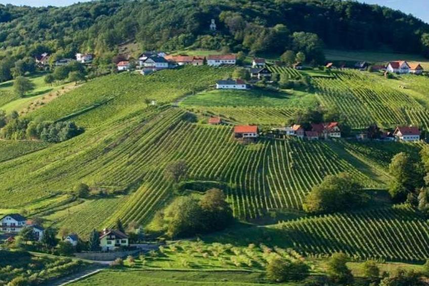 Rebenchalet - foto 25