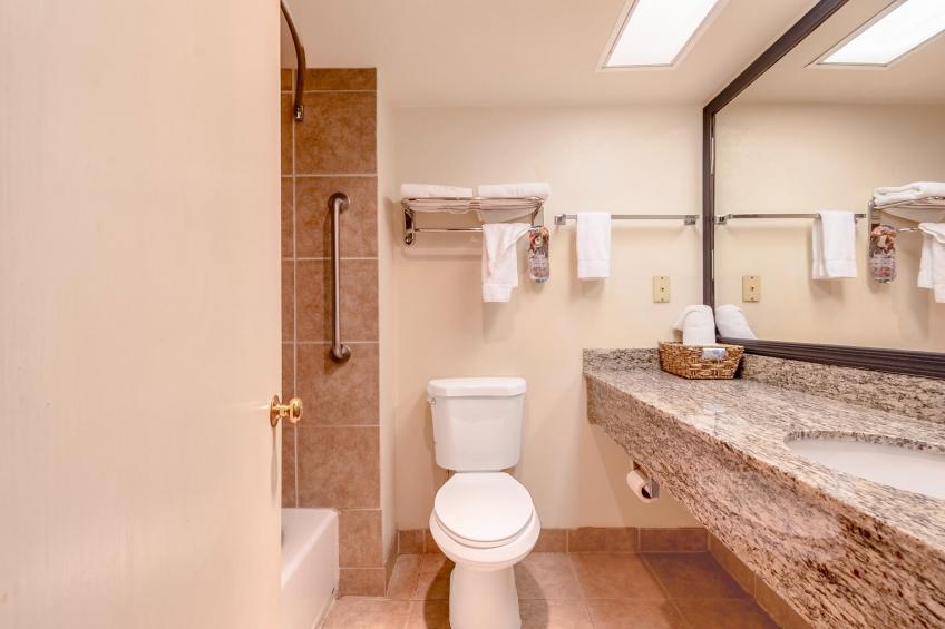 Executive Suite-Non-Smoking - foto 22