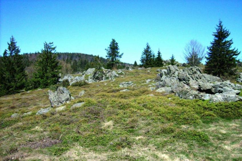 Böhmerwald - foto 30